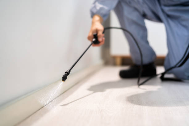 Rodent Entry Point Assessment in Oregon City