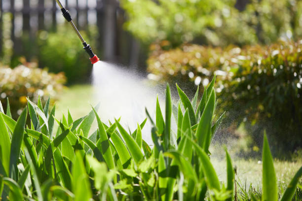 Tamper-Resistant Bait Stations for Rodents in Oregon City
