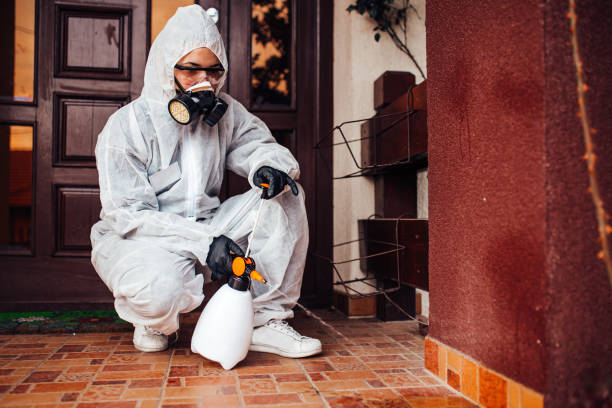 Attic and Crawl Space Rodent Treatment in Oregon City