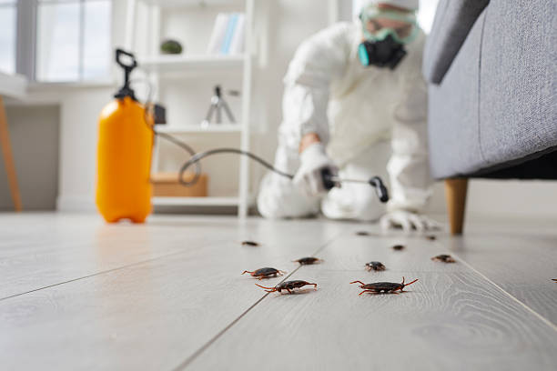 Commercial Rodent Management in Oregon City